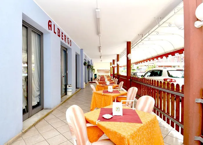 Edera 2*